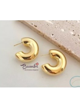 Golden Crescent Hoop Earrings