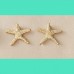 Ocean Star Studs